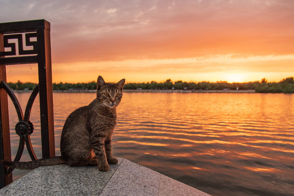 Photograph by Наталья Темная