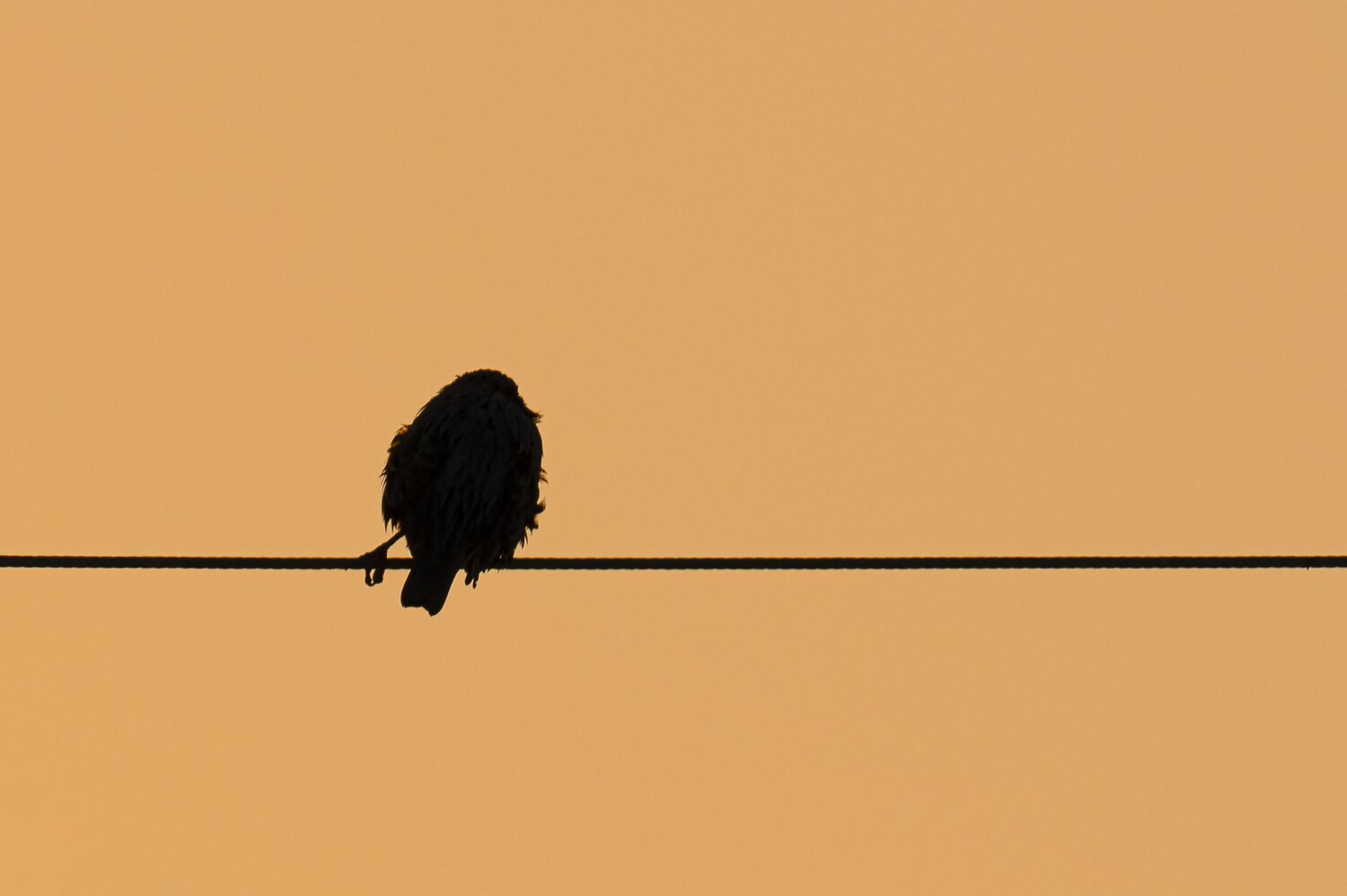 Amanecer