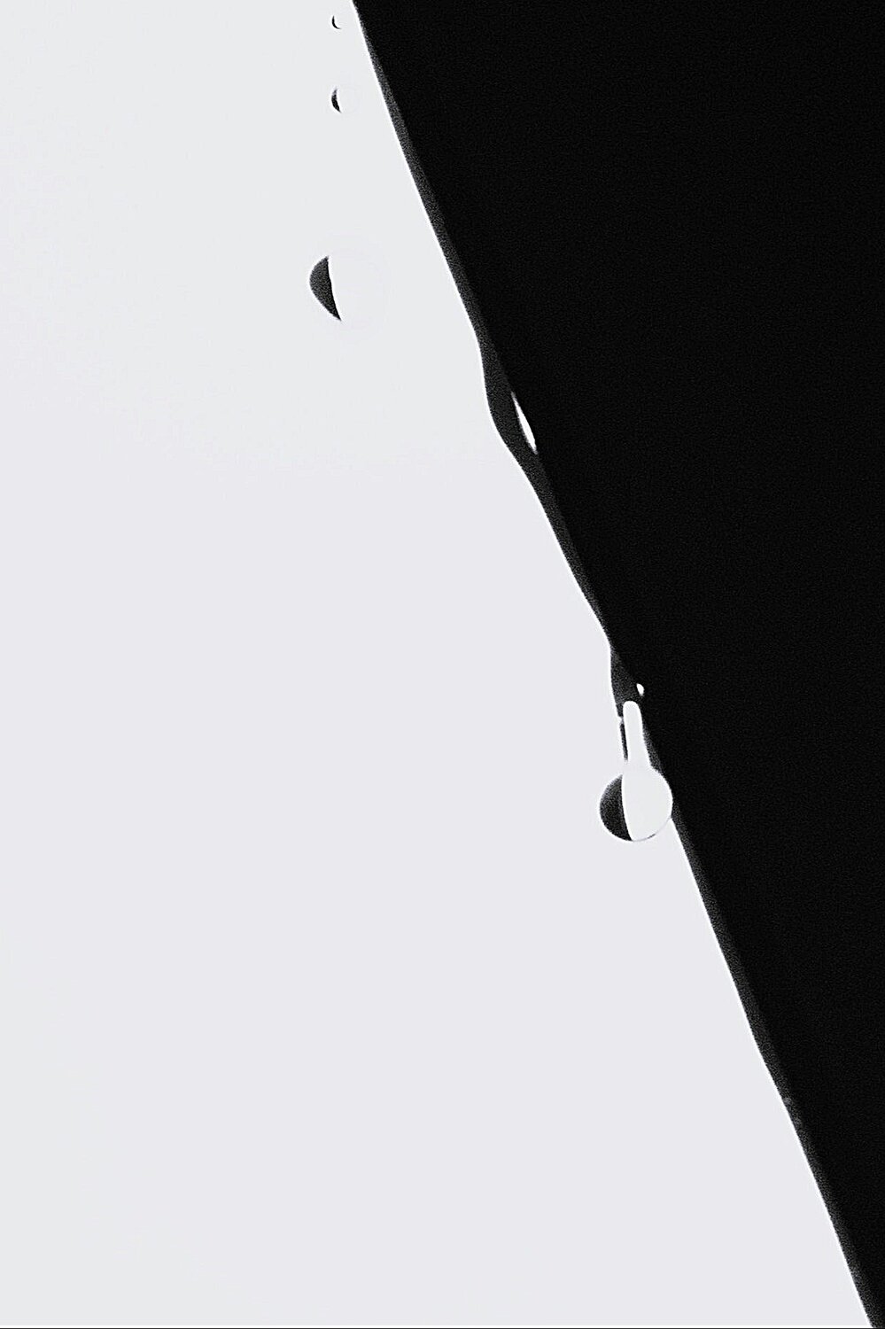 Photo #13932342