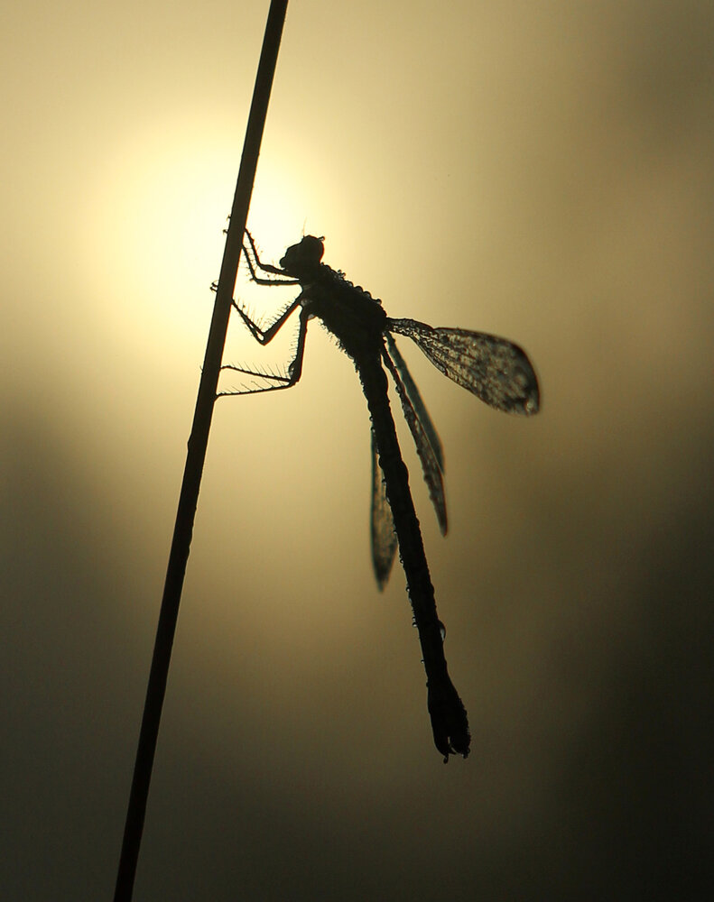 Photograph by Валентина Евсеева