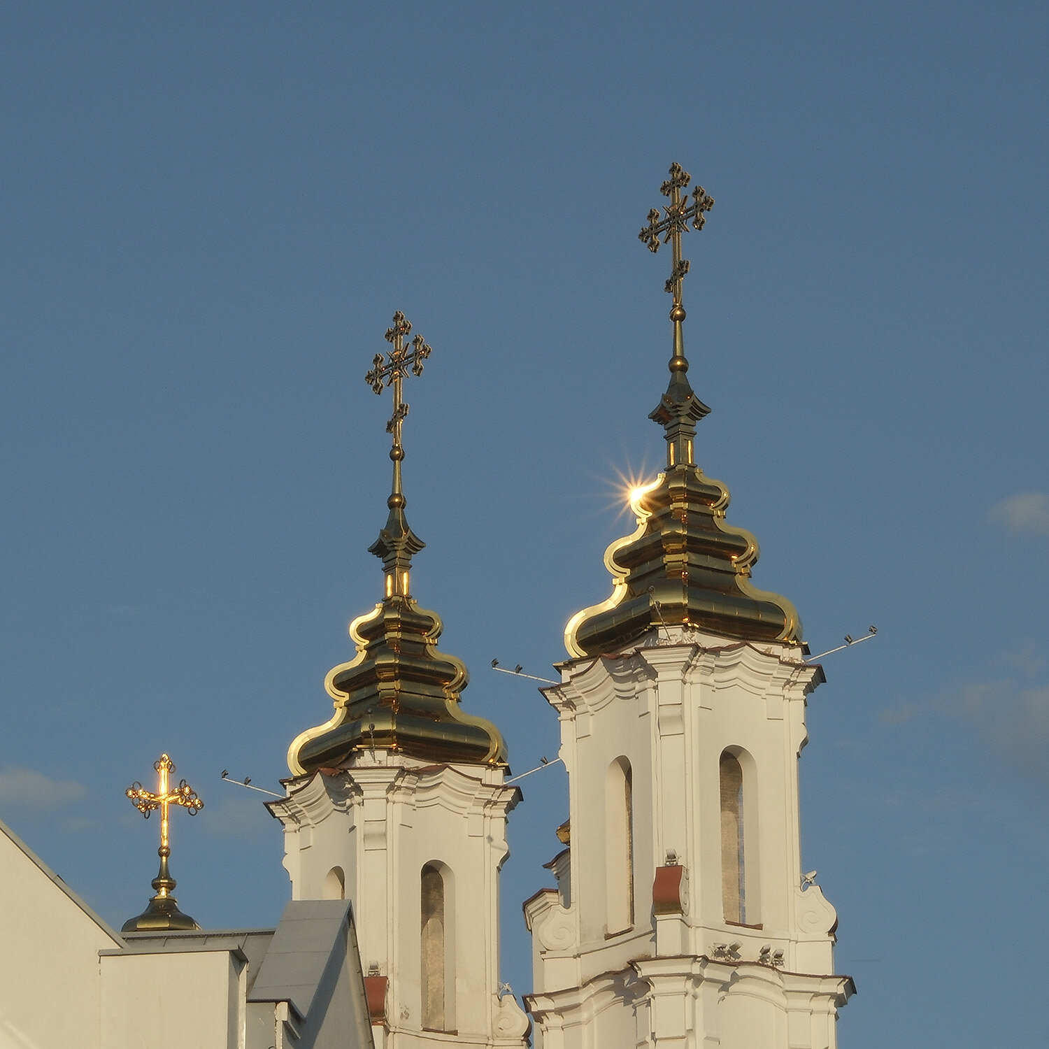 Photo #13932394