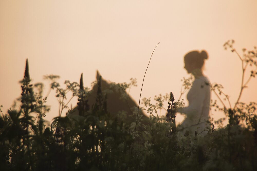 Photograph by Дашима