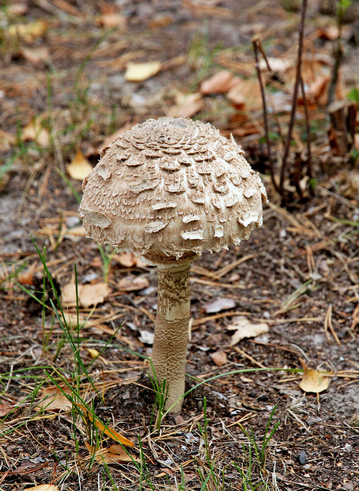 Photograph by Александр Бугаенко