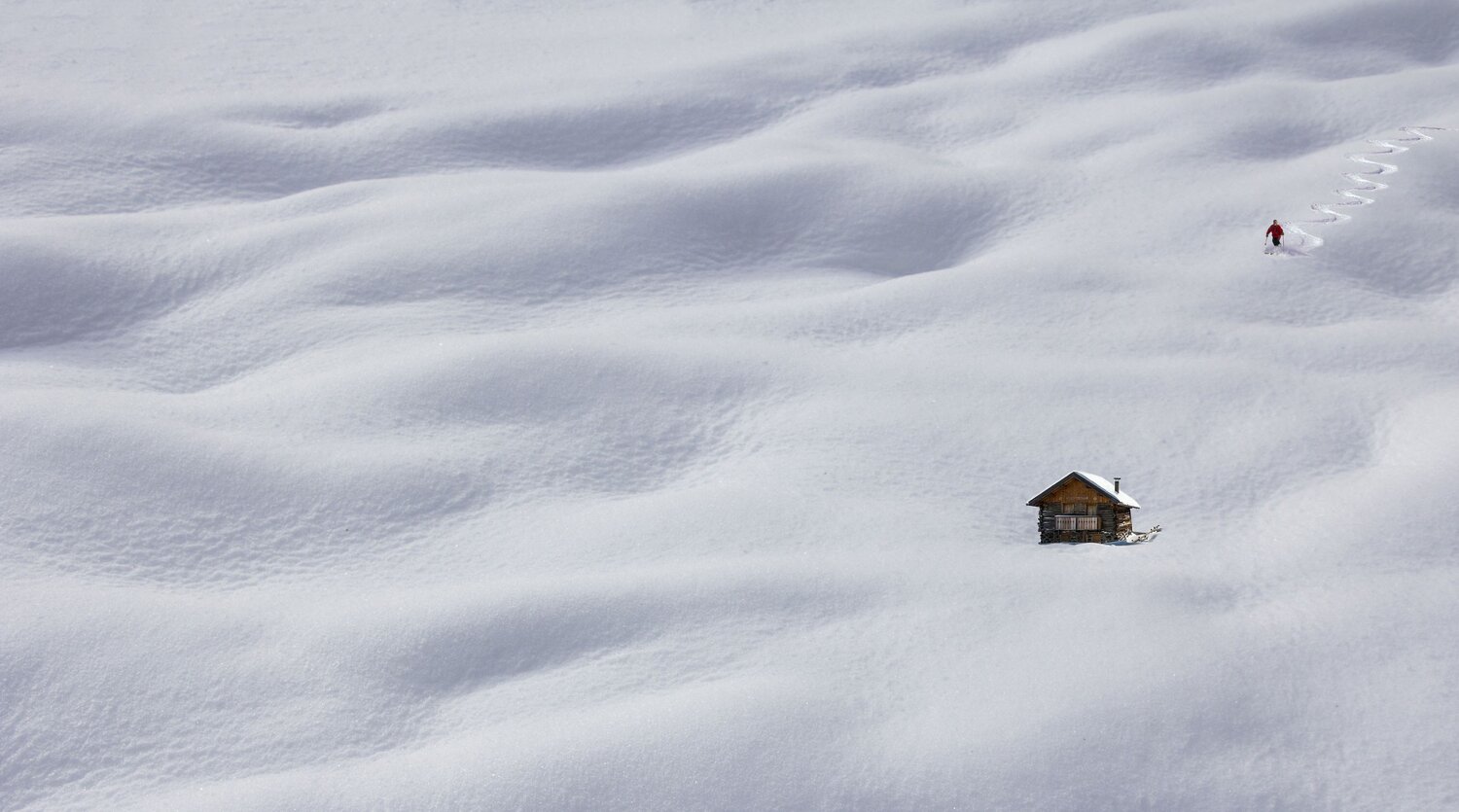 Photo #13932561