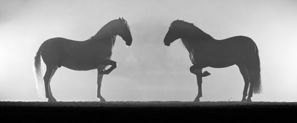 Photograph by Paula Sid