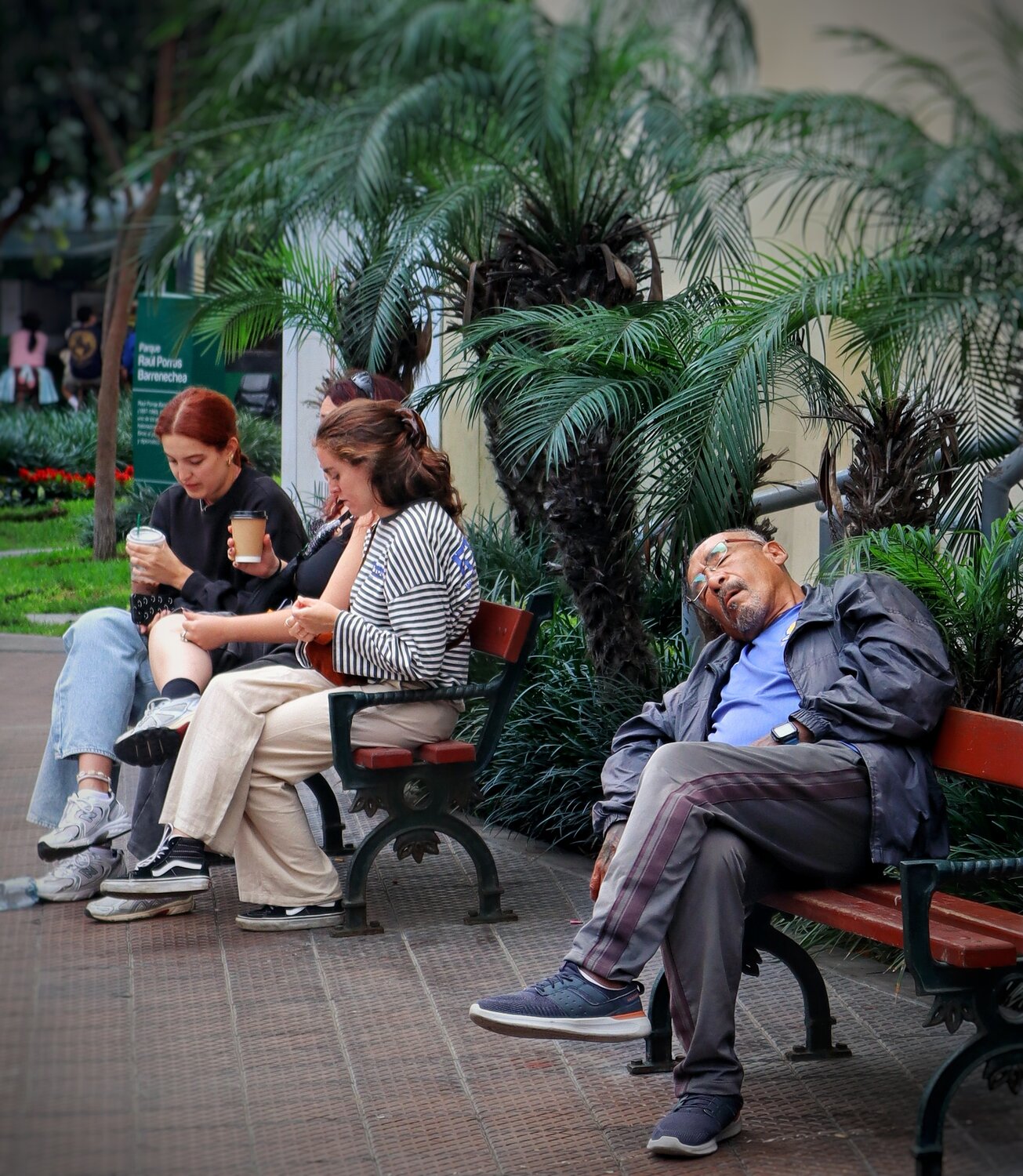 Photo #13932624