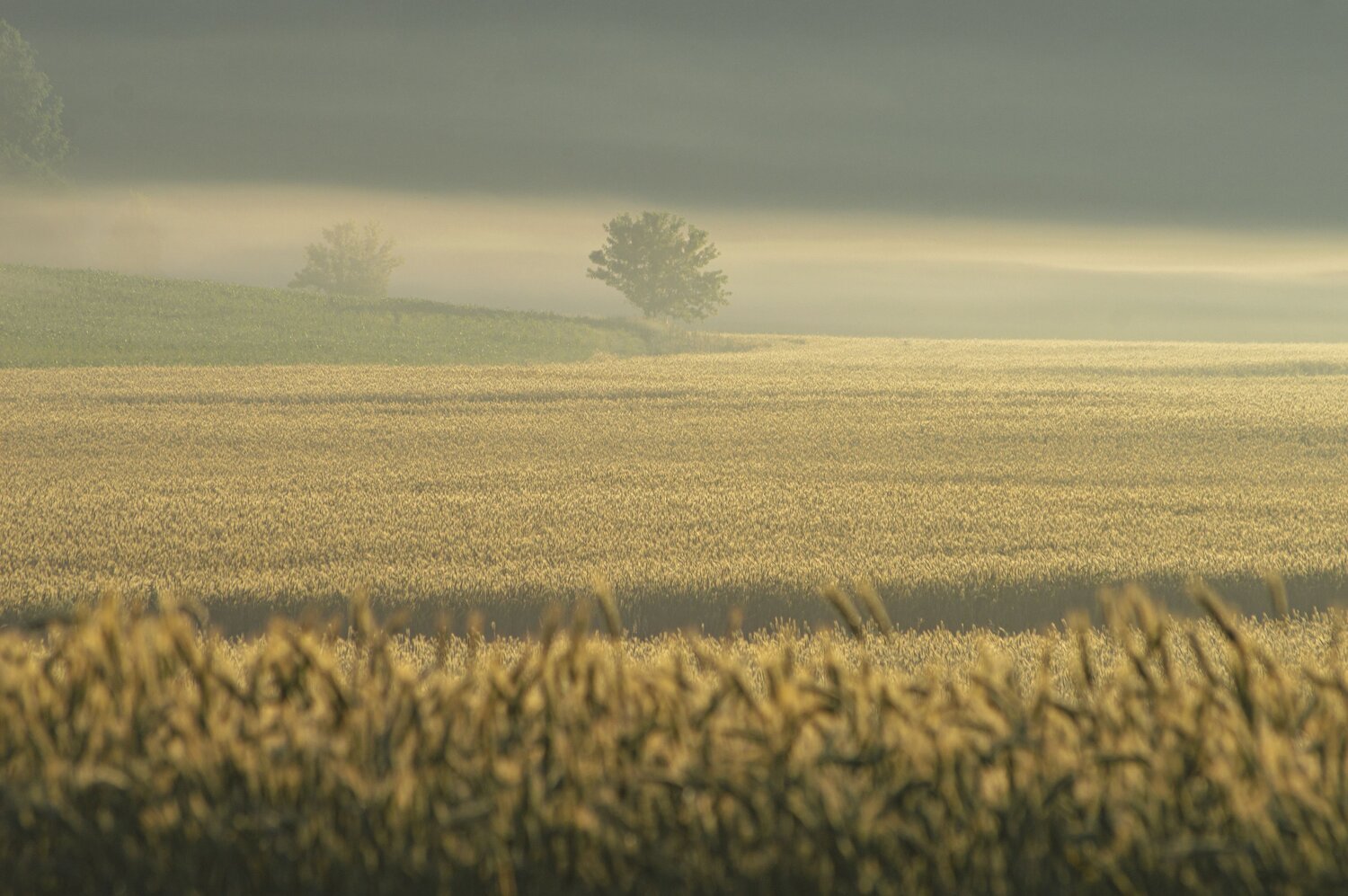 Photo #13932736