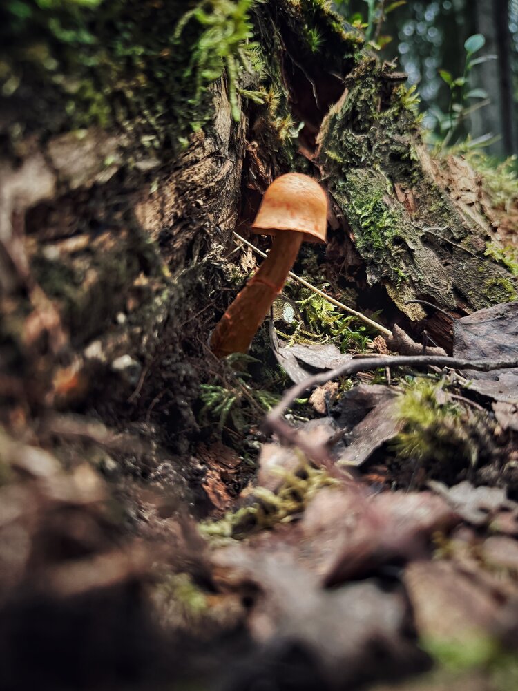 Photograph by Юлия Порфирьева