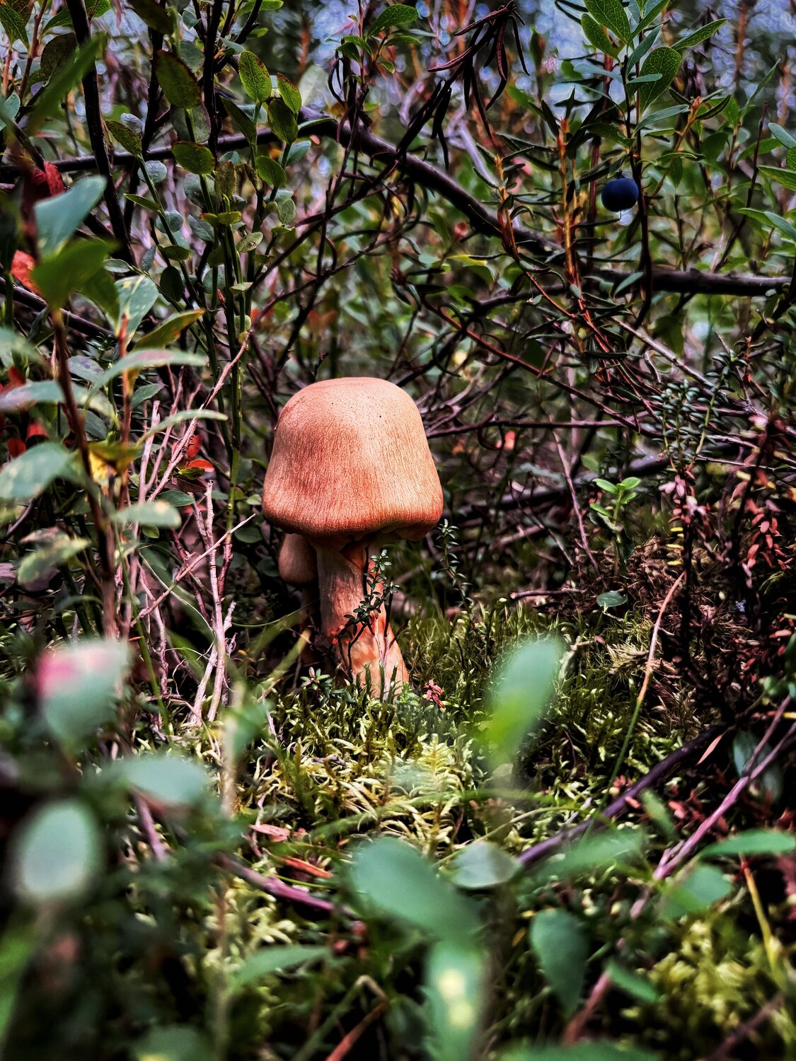 Photo #13932800