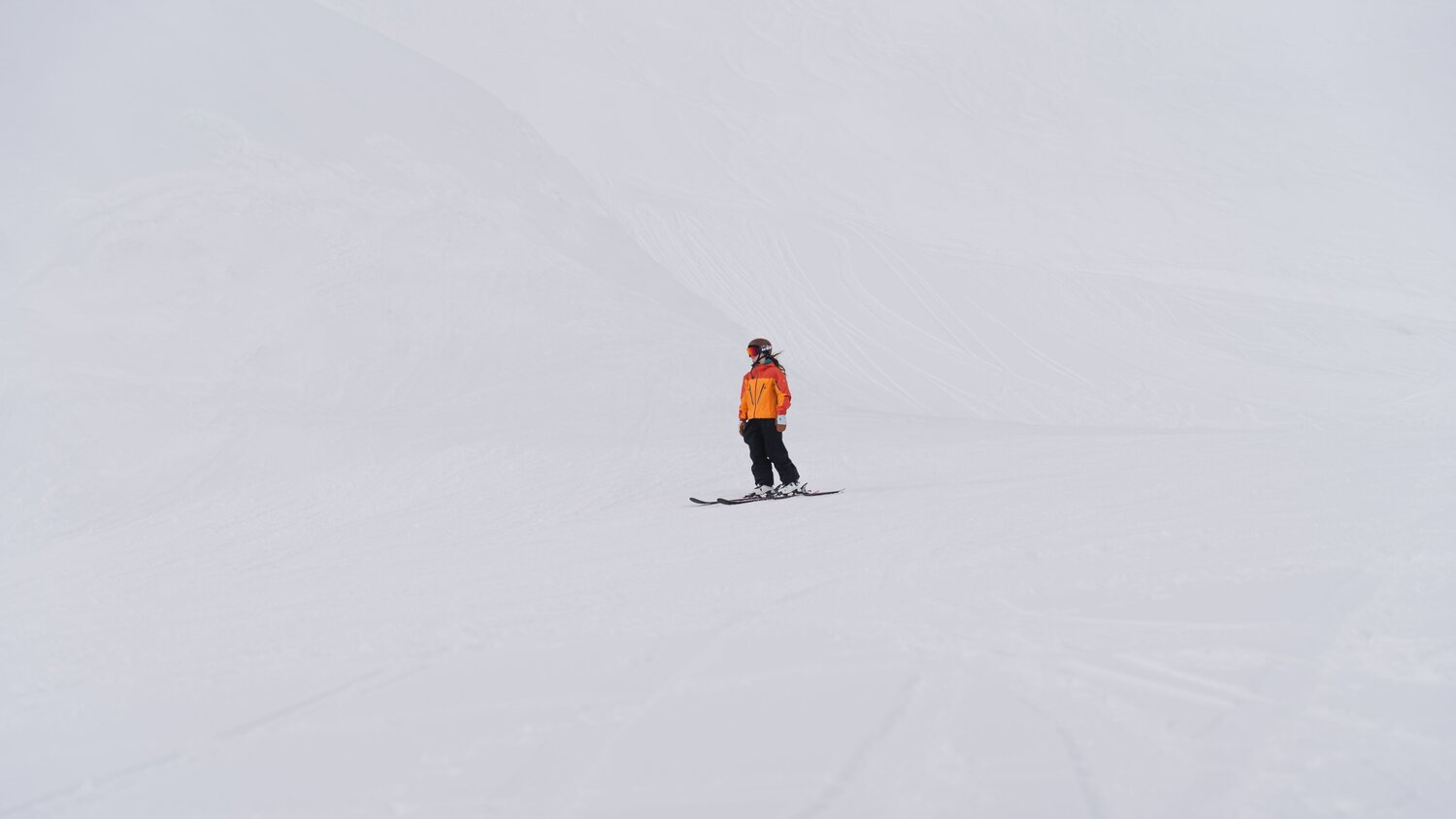 Photo #13932842