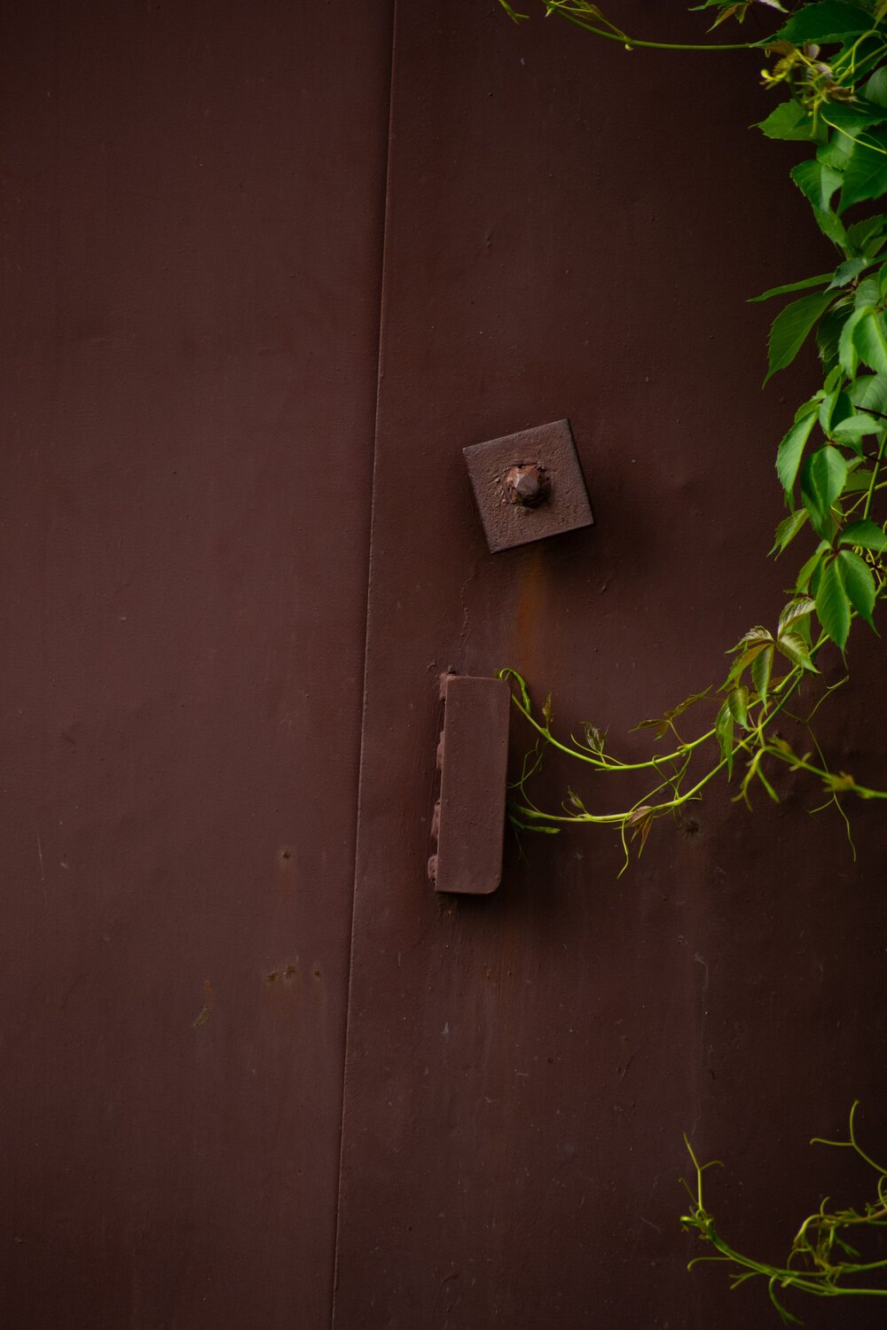 Photo #13932888
