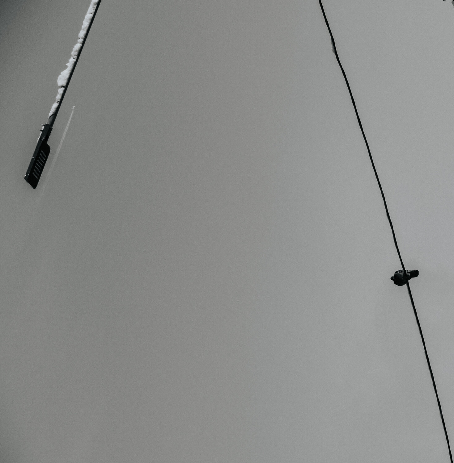 Photo #13932921