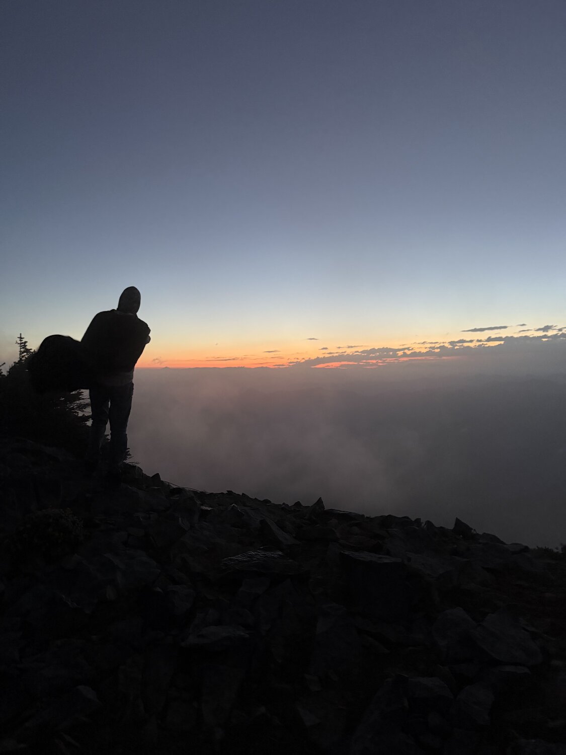Photo #13933007