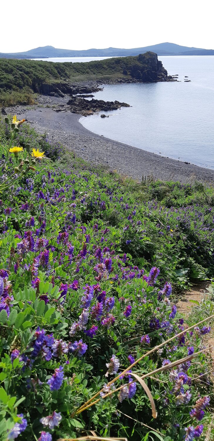 Photo #13933115