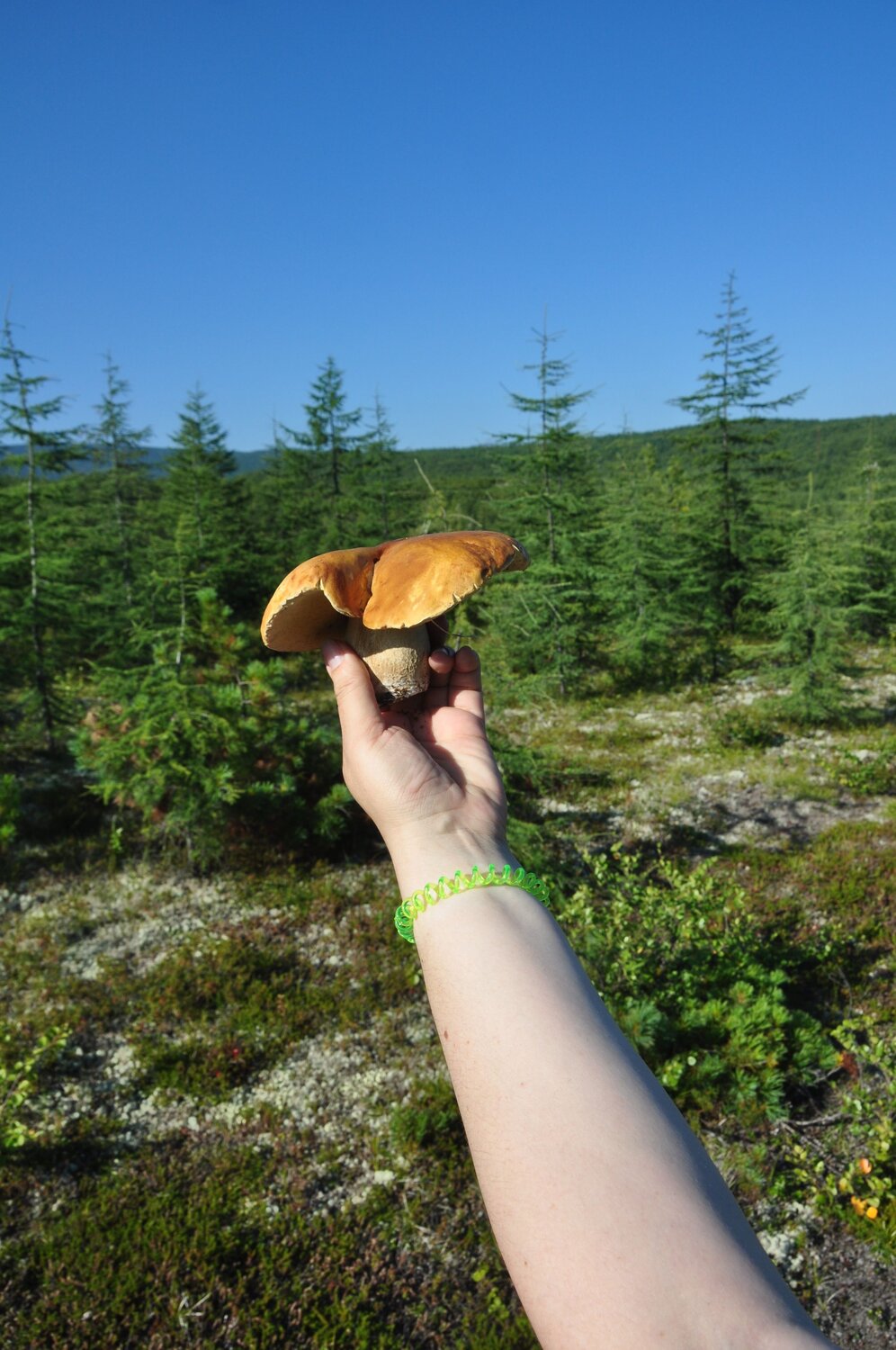 Photo #13933146
