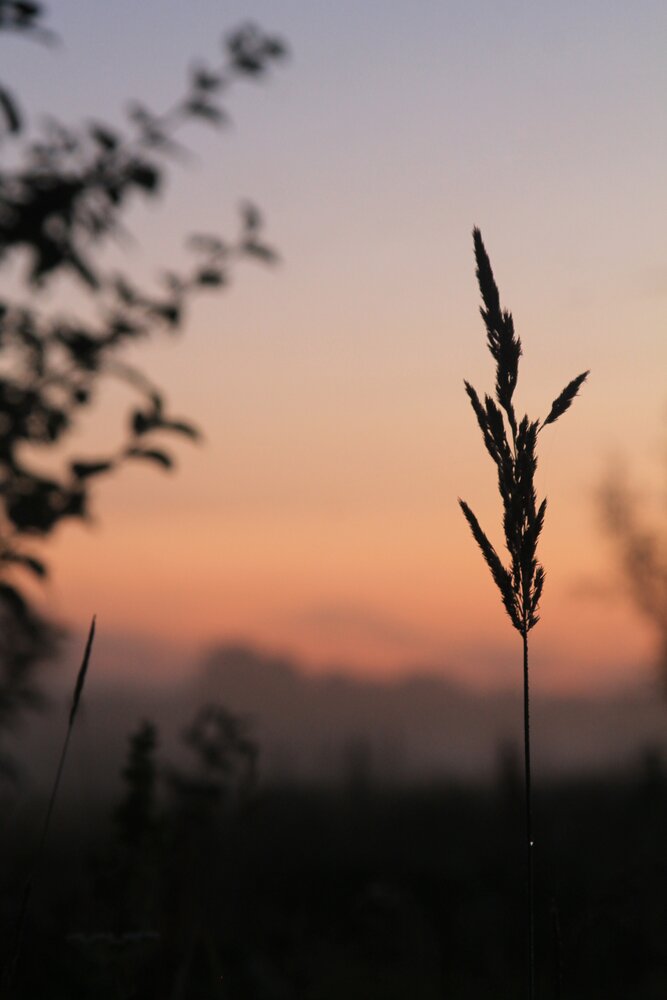 Photograph by Виктория Хмара