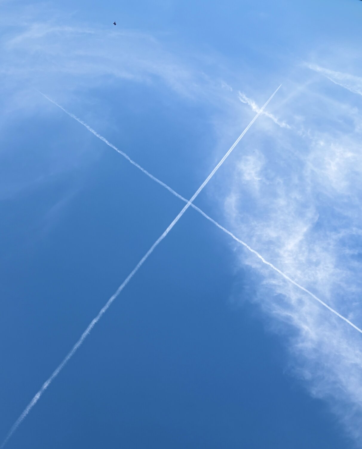 Holy Cross