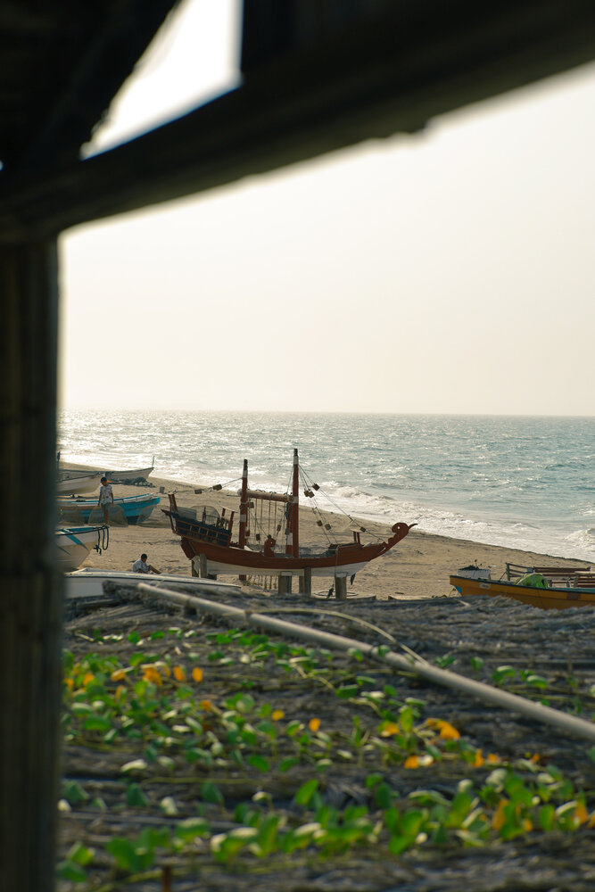Photograph by Михаил Олейник