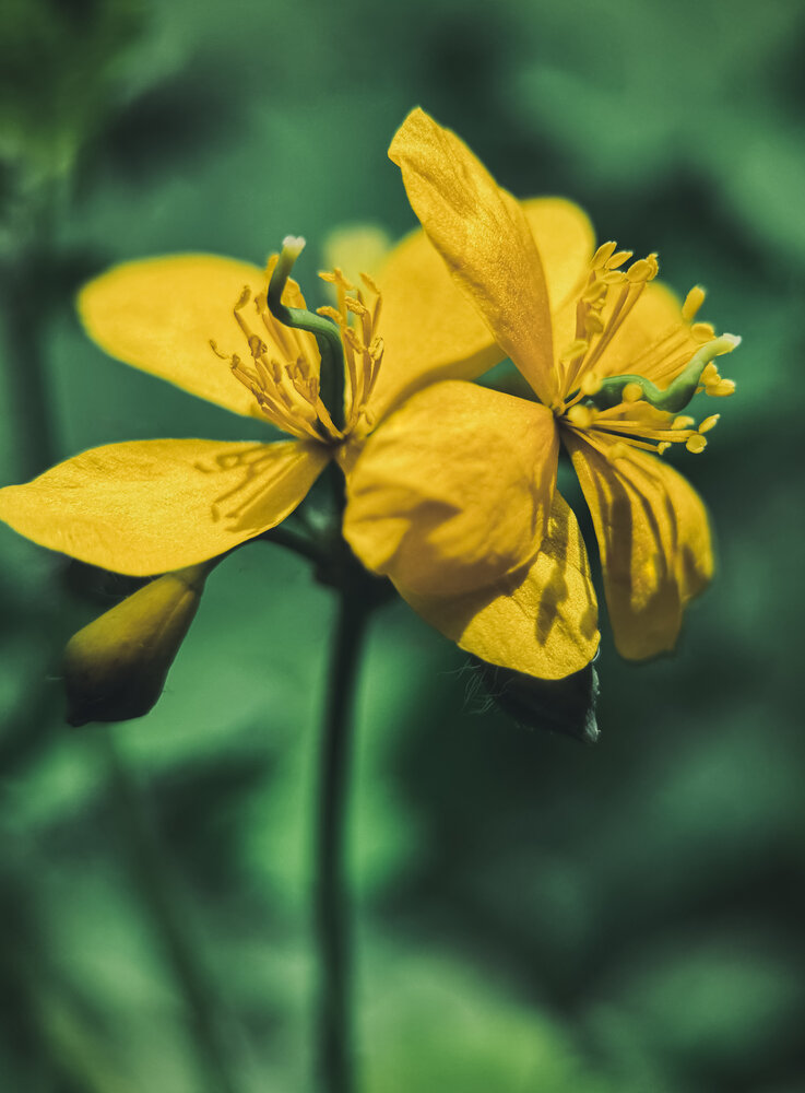 Photograph by Oxana Petlina