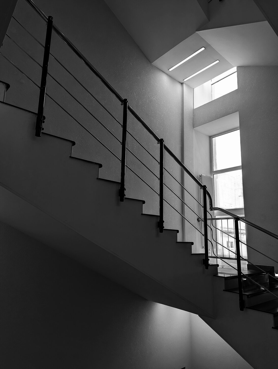 Photo #13933286