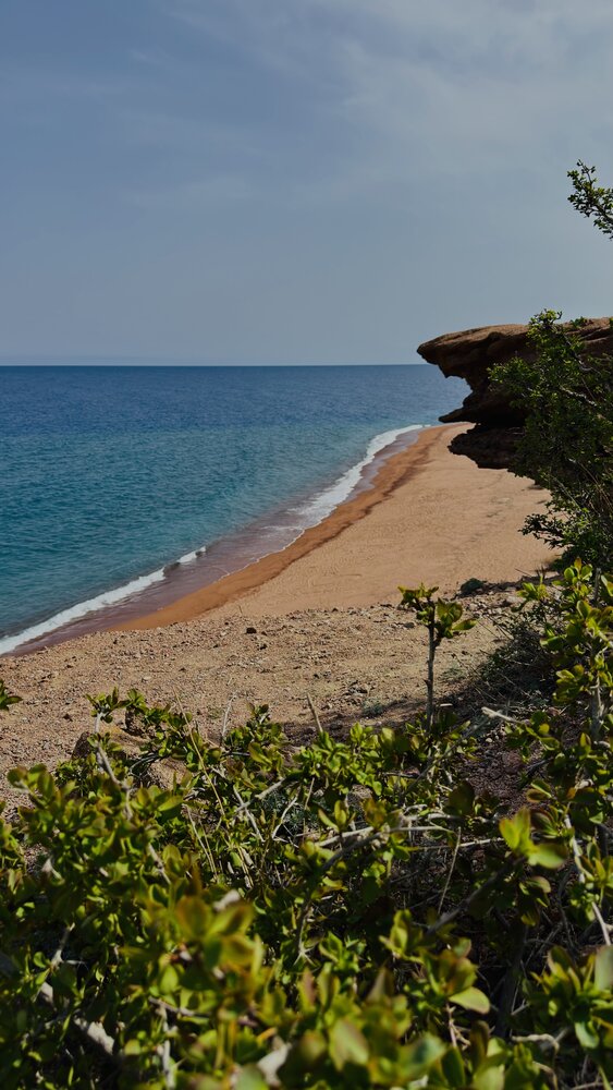 Photograph by Галина Шиманцова
