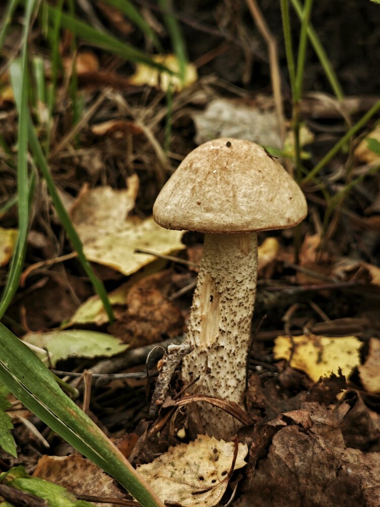 Photograph by Евгения Владимировна