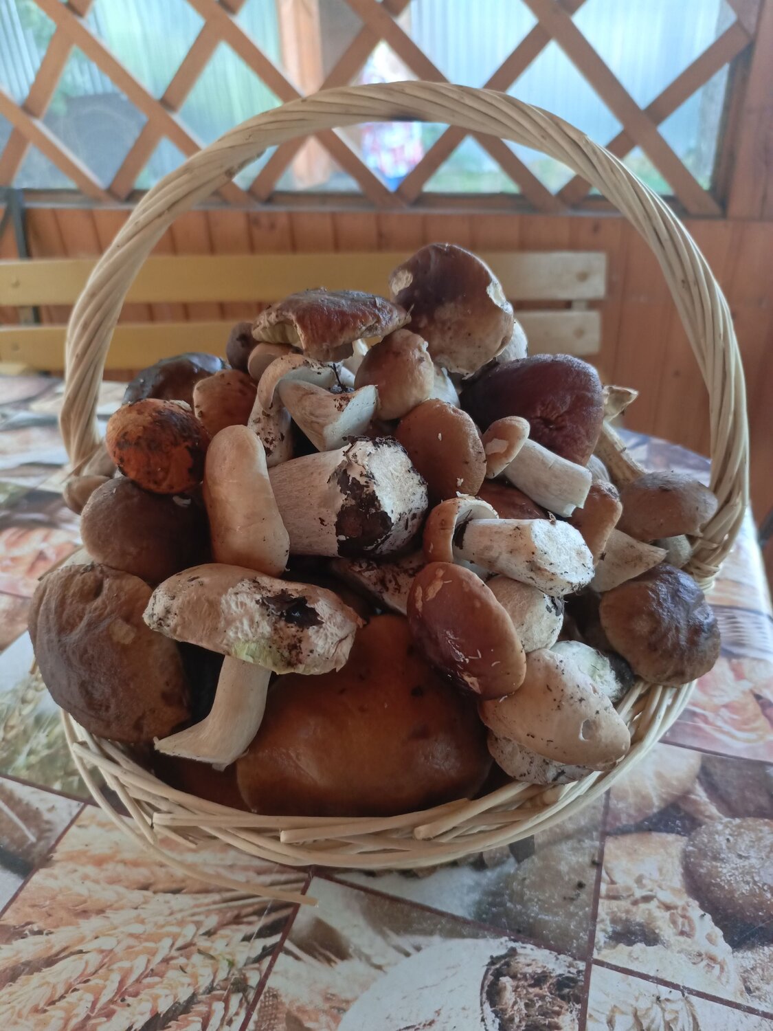 Photo #13933347
