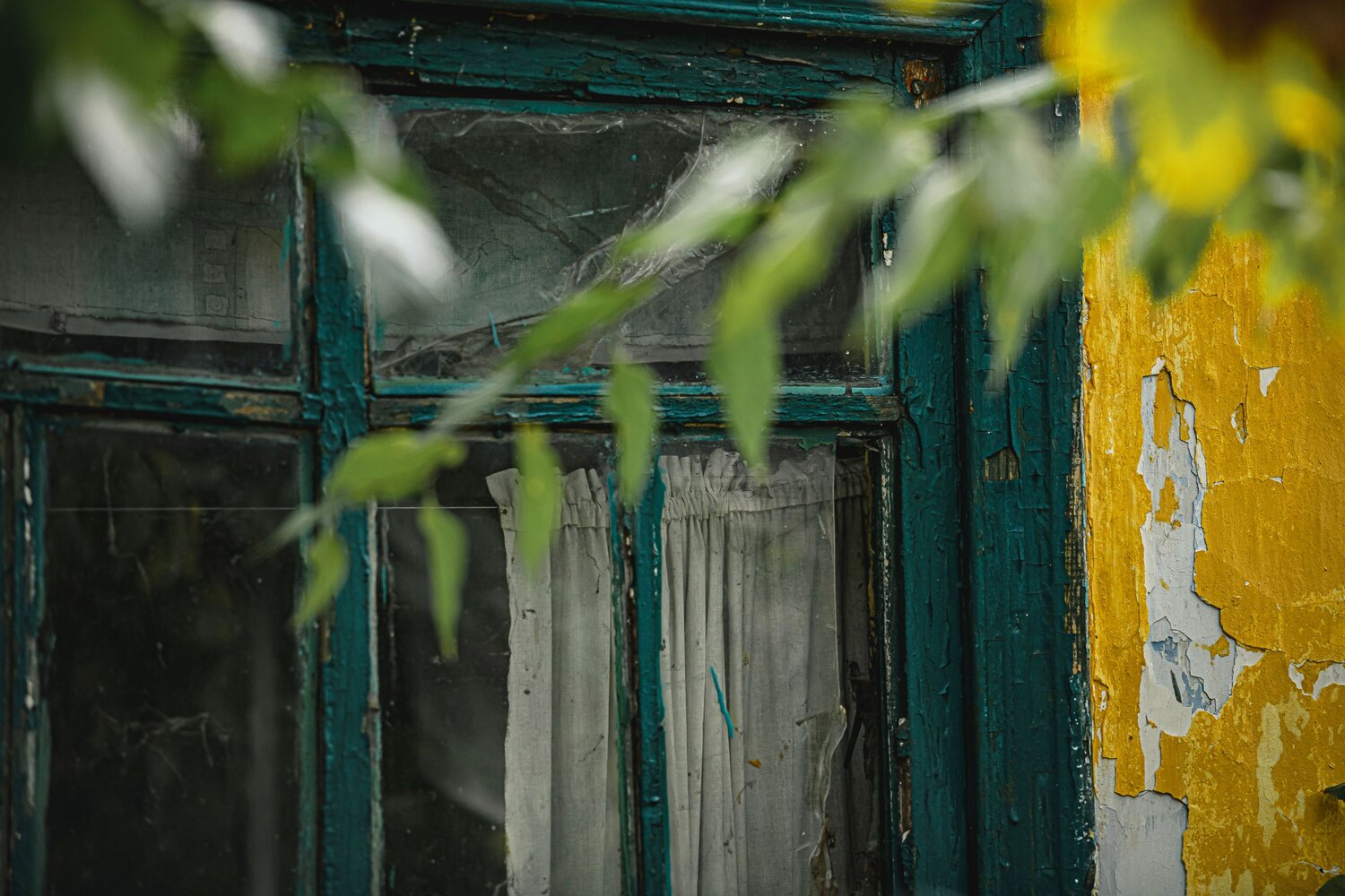 Photo #13933437