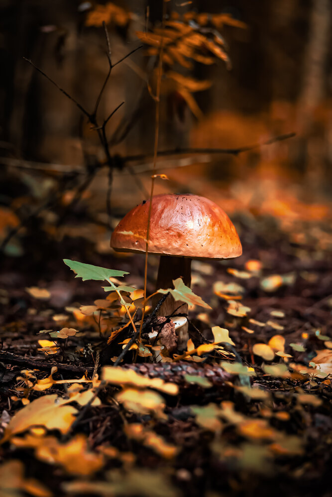 Photograph by Руслана Ковалевская