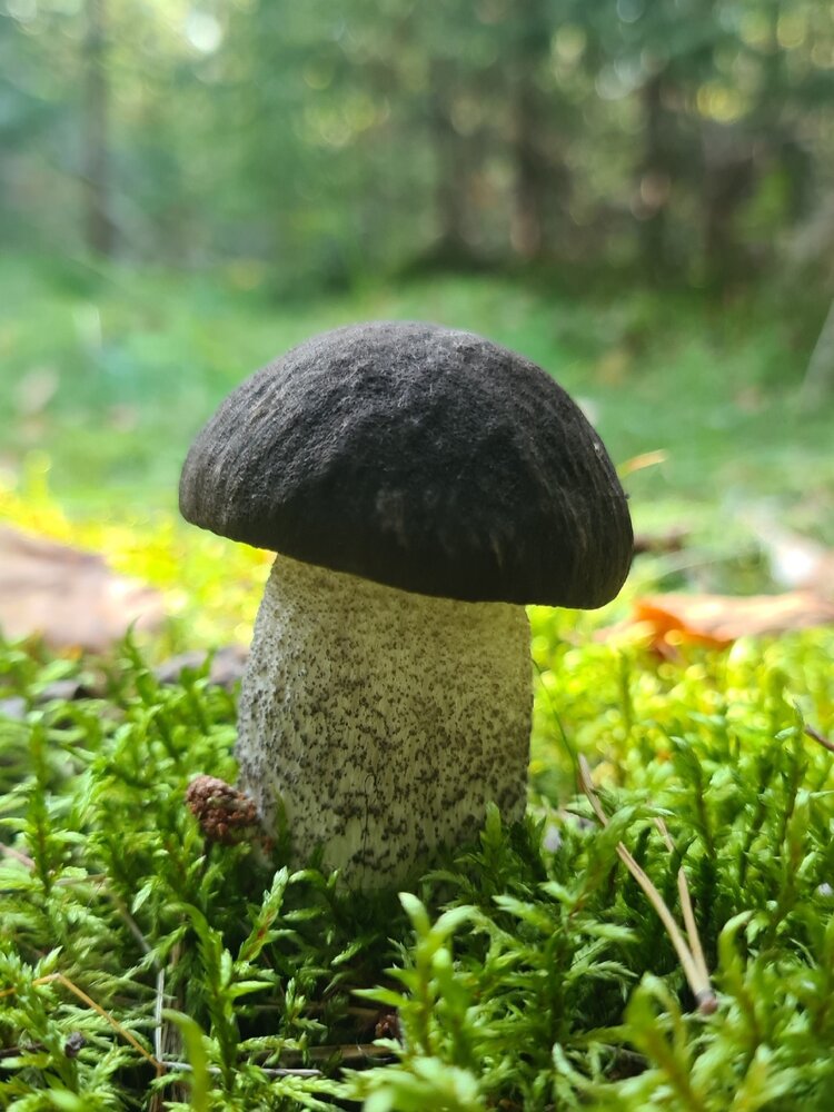 Photograph by Светлана Кустова