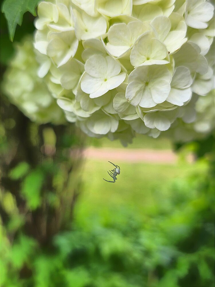 Photograph by Светлана Кустова