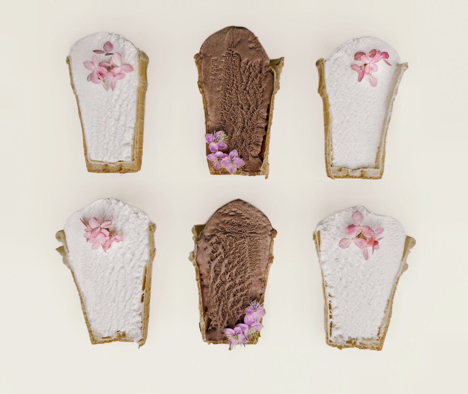 Photo #13933573