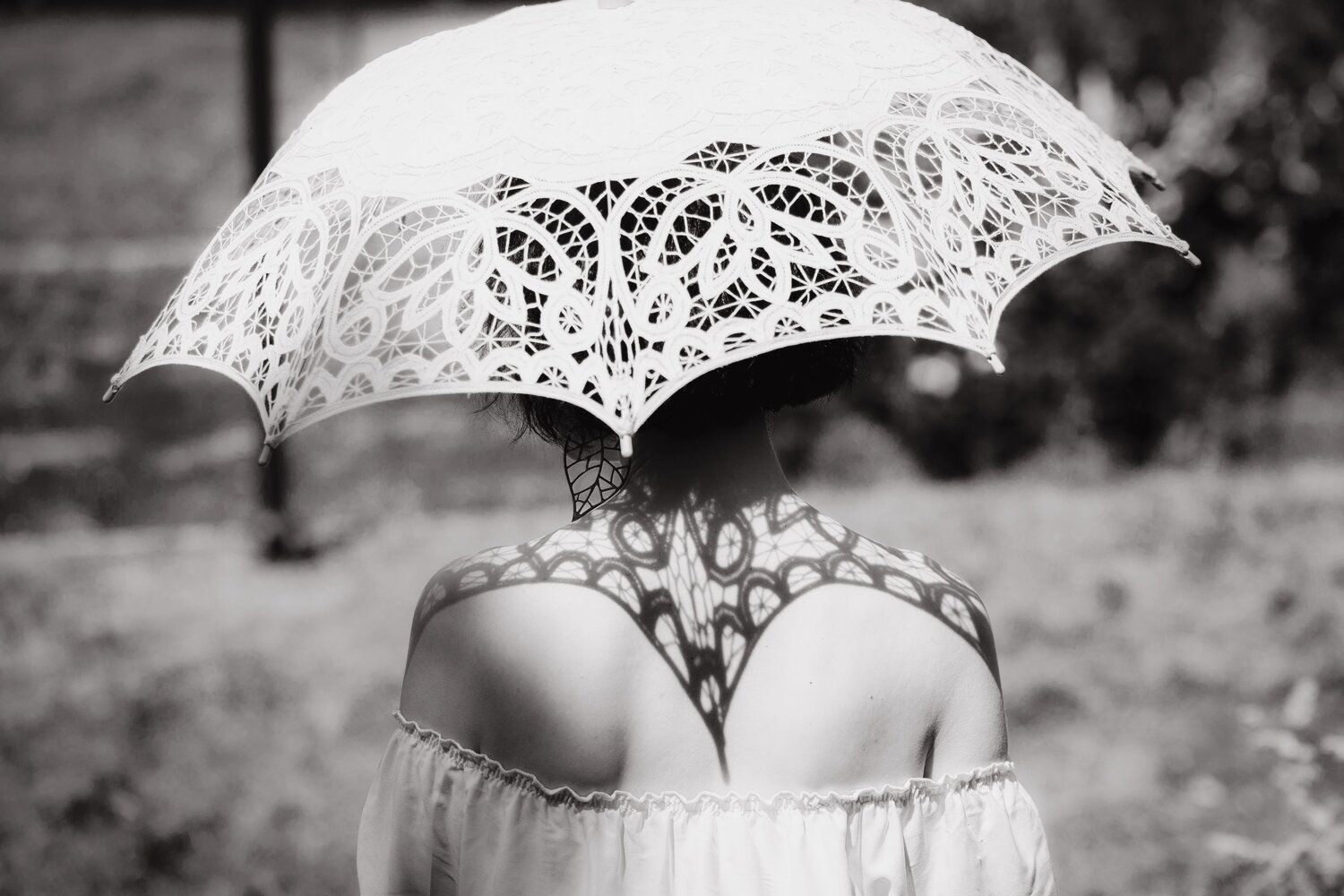 Photo #13933595