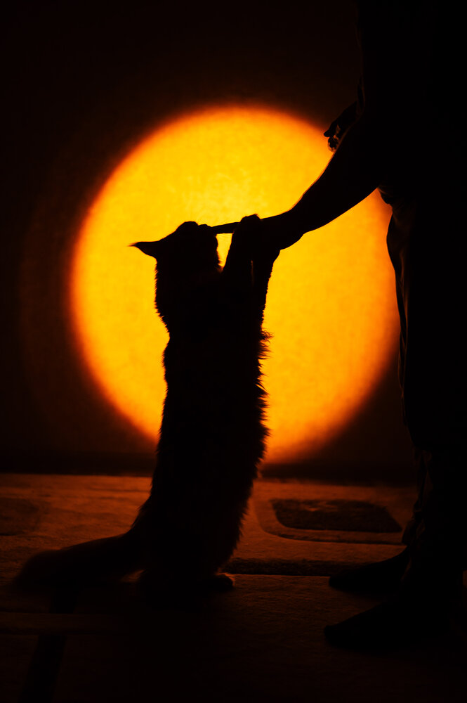 Photograph by Светлана Субботина