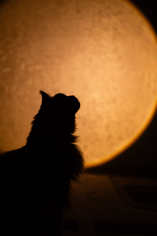 Photograph by Светлана Субботина