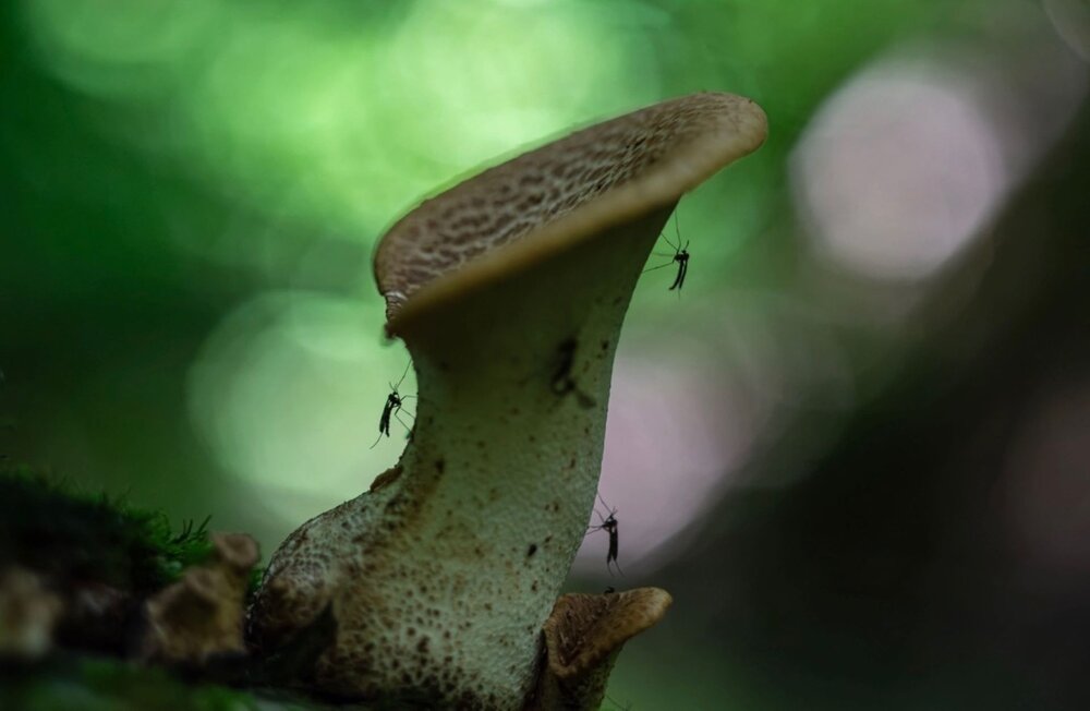 Photograph by Виктория Зеленкова
