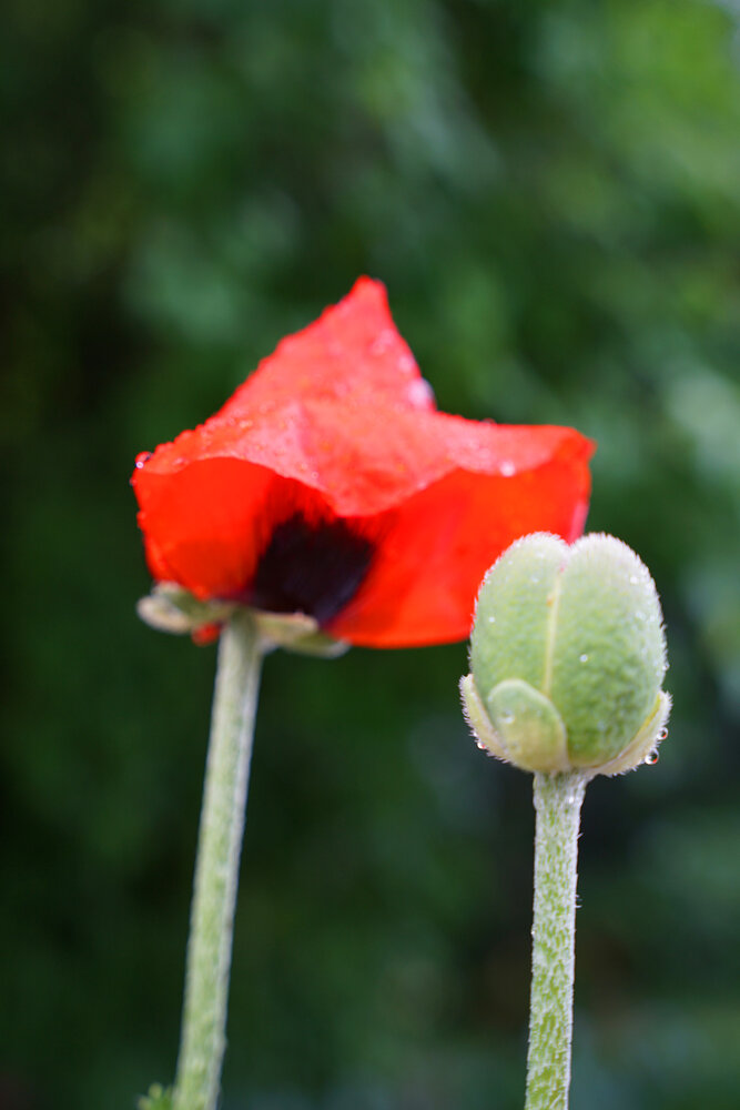 Photograph by Марина Виноградова