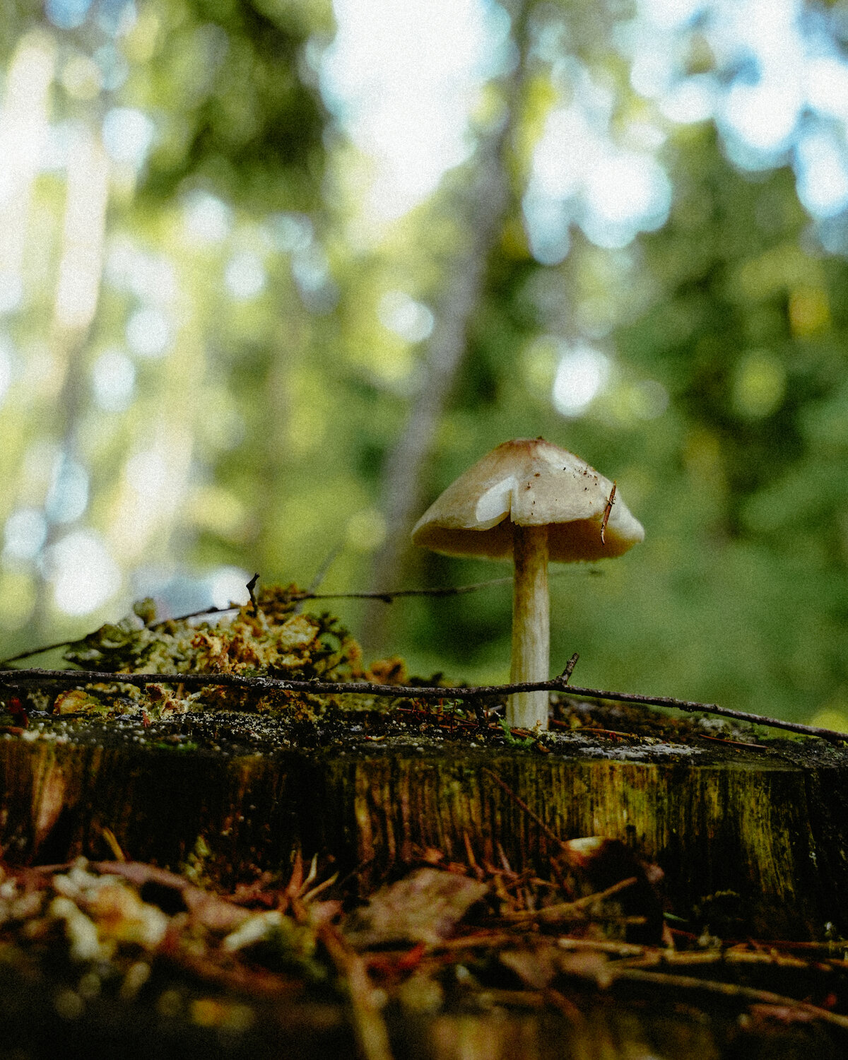 Photo #13933911