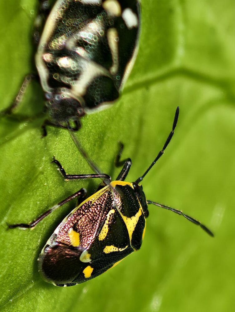 Photograph by Евгений Аксененко