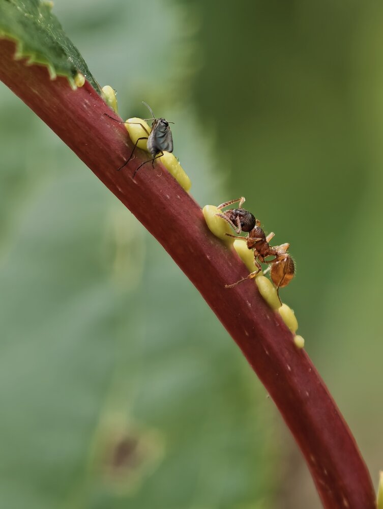 Photograph by Евгений Аксененко