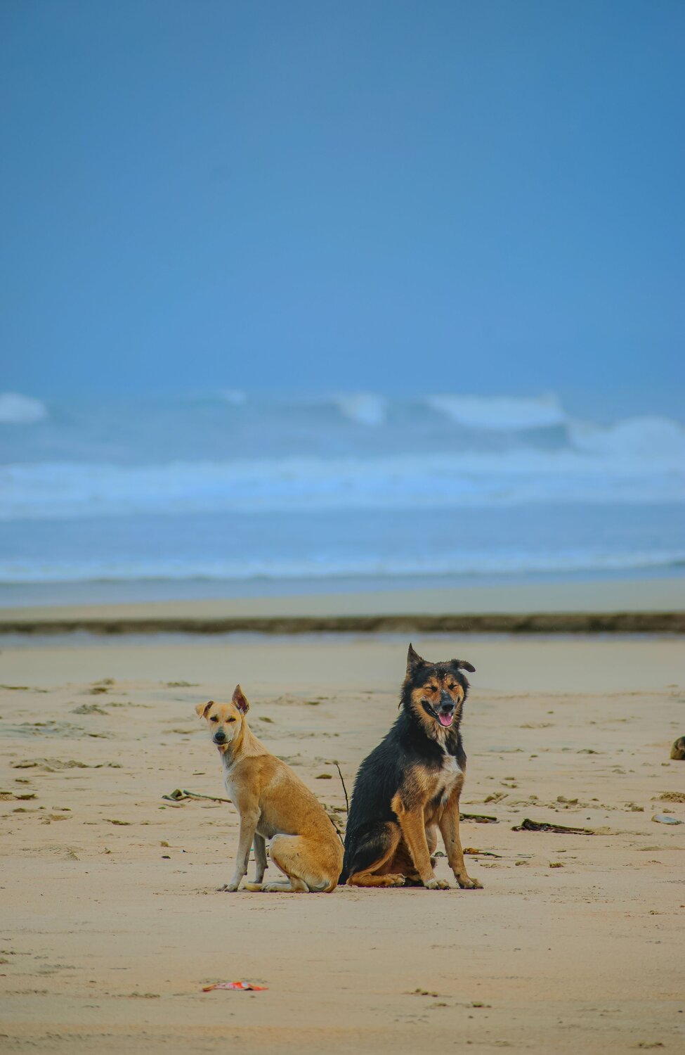Photo #13934039