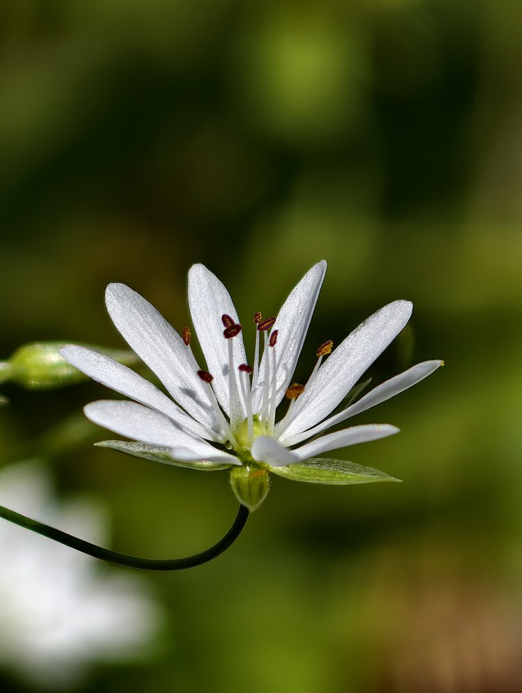 Photograph by Евгений Аксененко