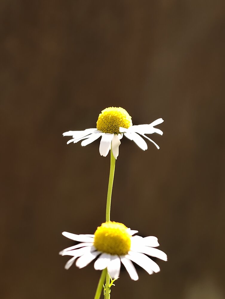 Photograph by Евгений Аксененко