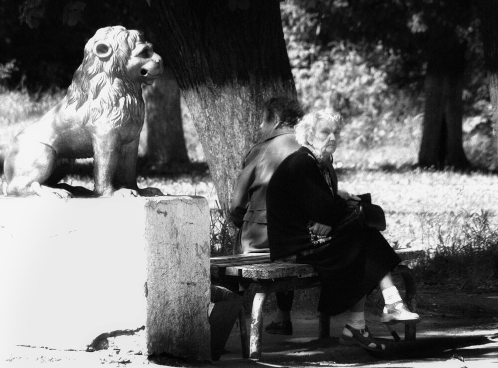 Photograph by Любовь