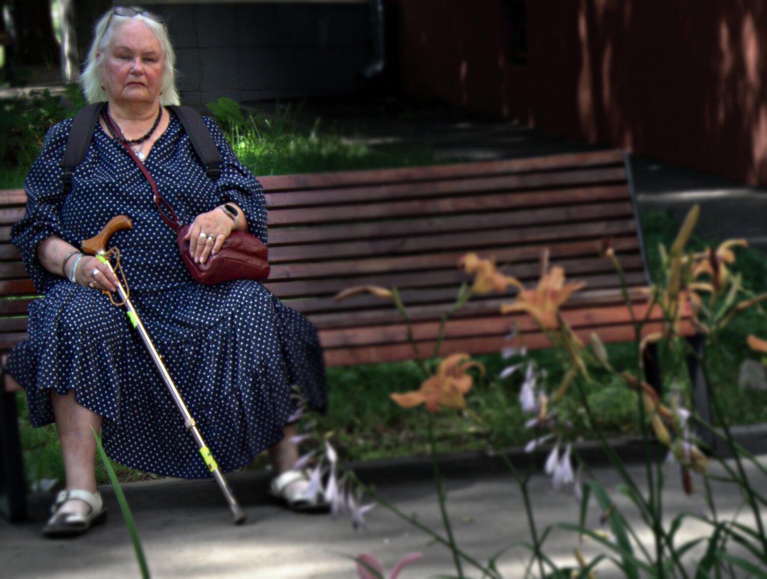 Photo #13934118