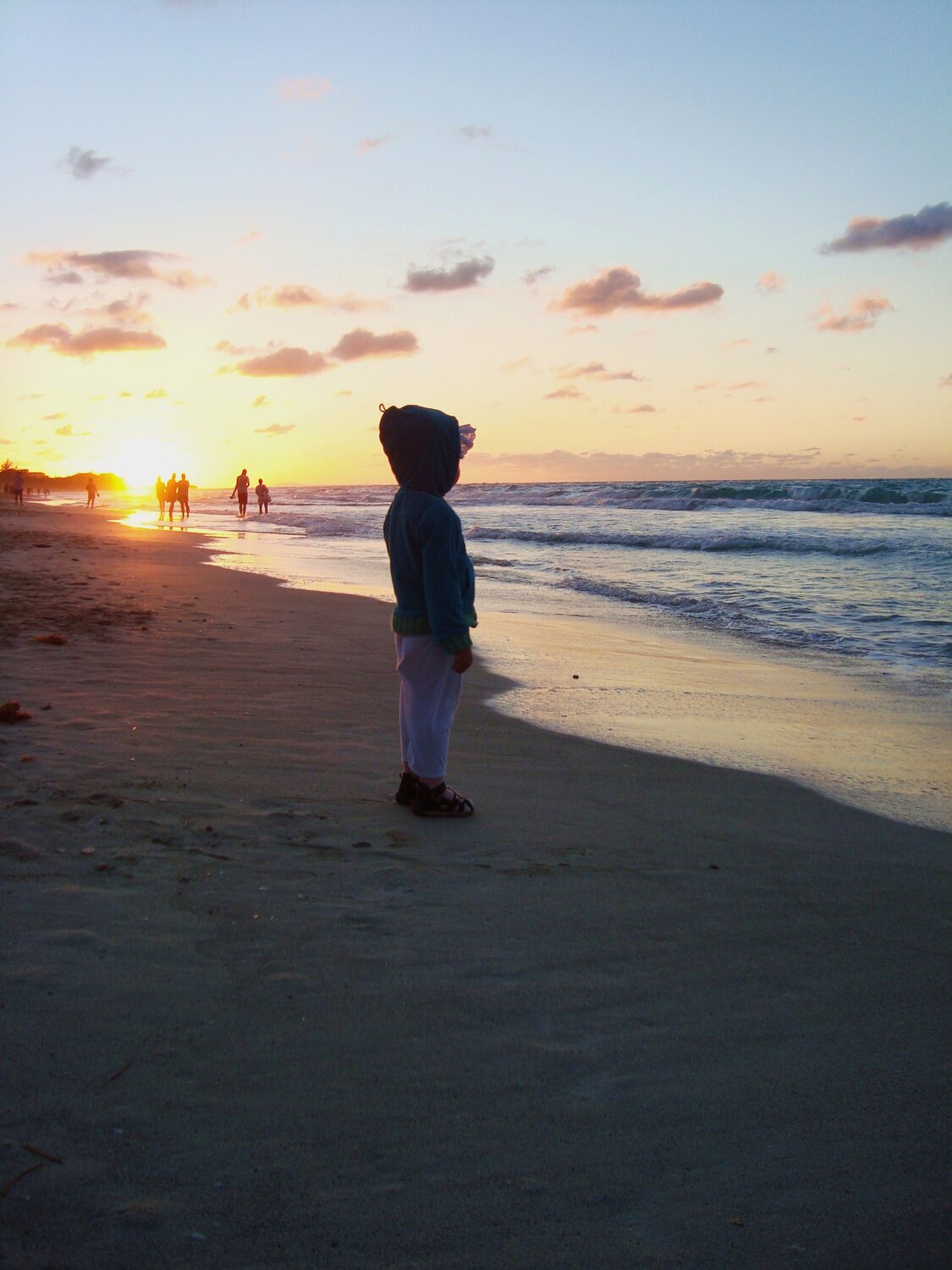 Photo #13934240
