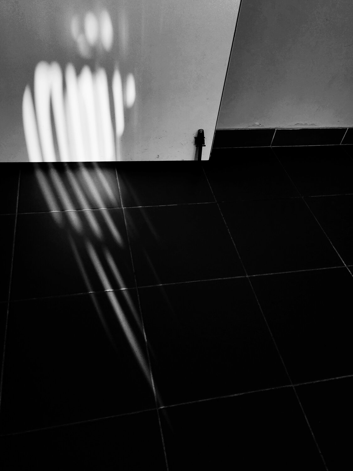 Photo #13934260