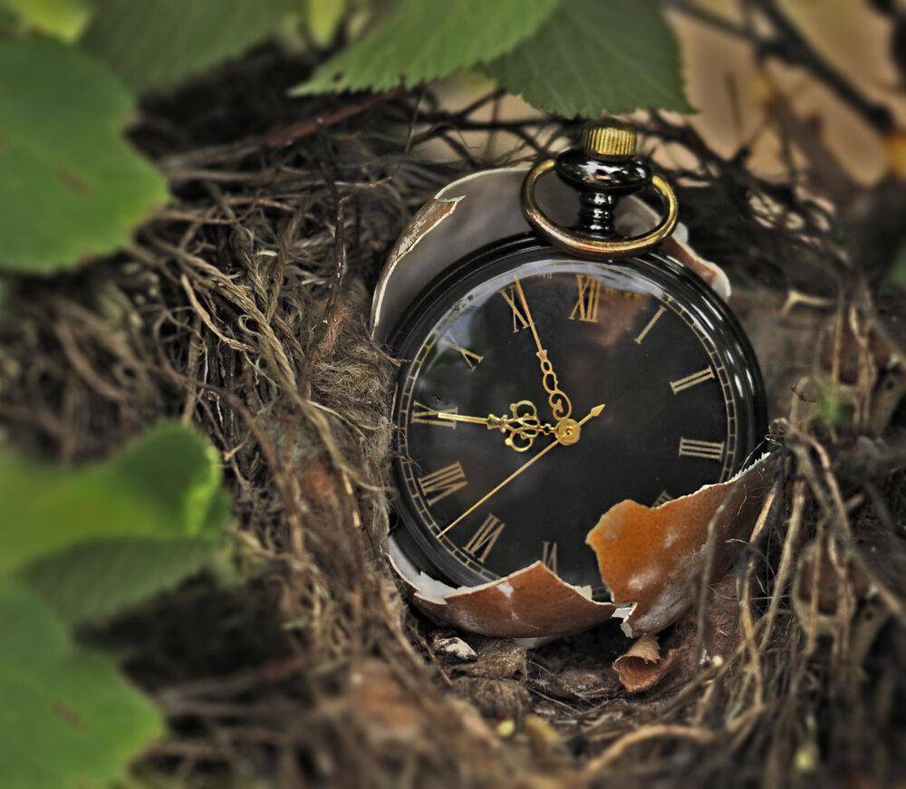 Photograph by Ирина Пинчук