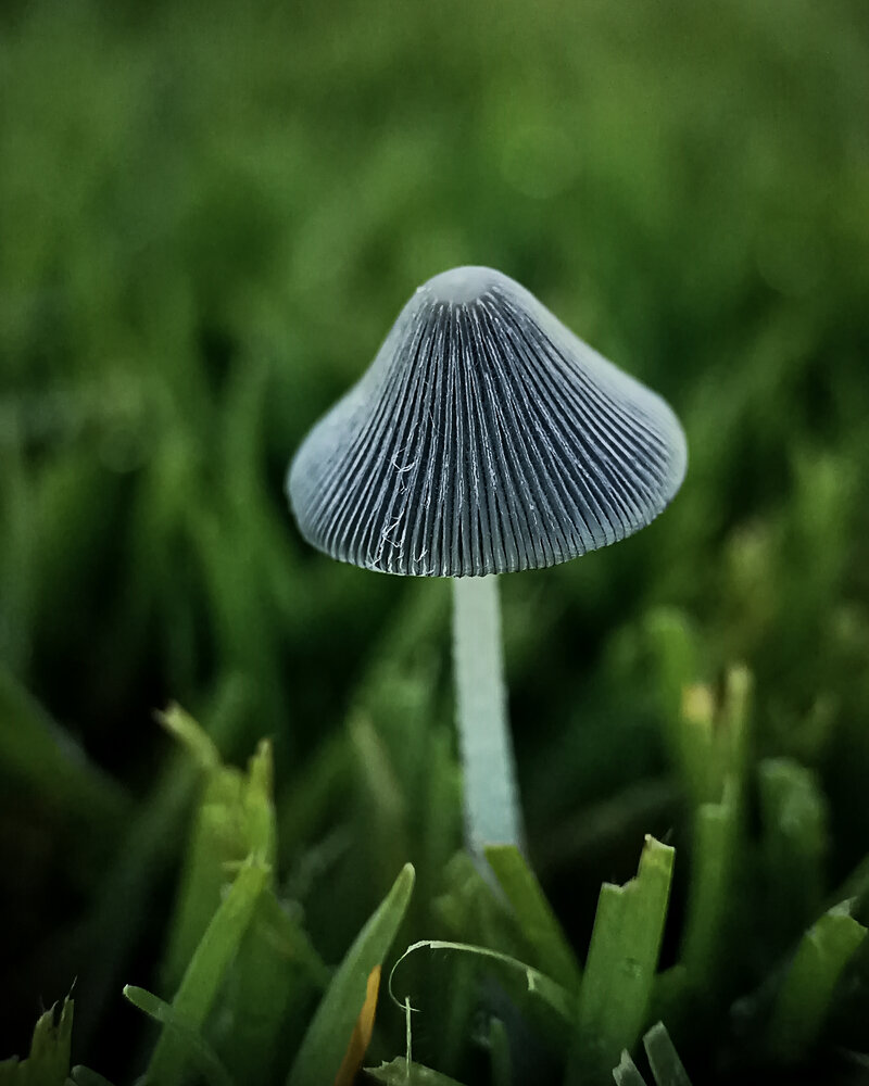 A hidden world right under our feet!
