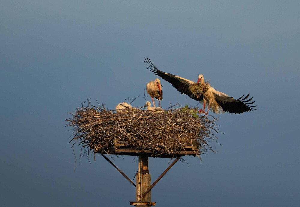 Photograph by Иван Калабушев